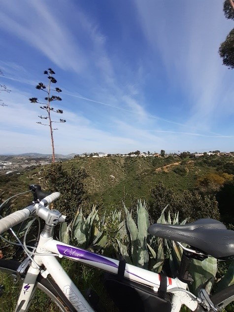 週末に時々近所をサイクリングしています